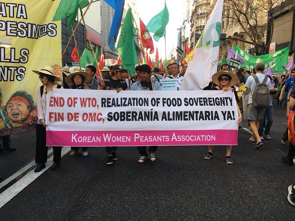 [䴺] 迡   ƸƼ WTO  ߴ