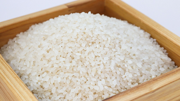 2023년산 공공비축 쌀 40만 톤 매입 추진